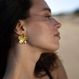 Boucles AlaÏa